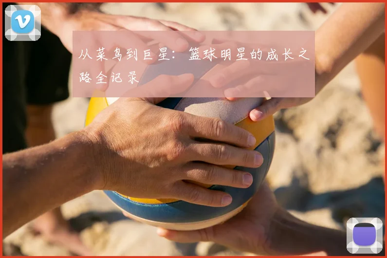 从菜鸟到巨星：篮球明星的成长之路全记录