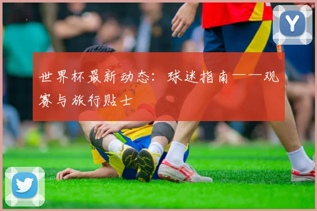世界杯最新动态：球迷指南——观赛与旅行贴士